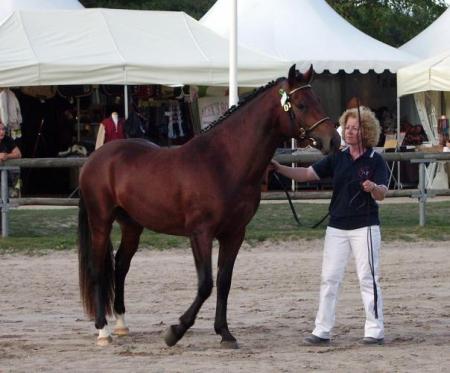 sylharo du li�mont