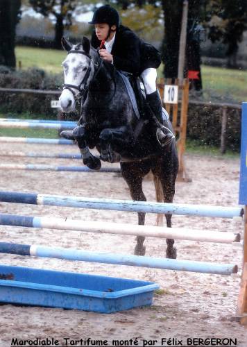 marodiable tartifume