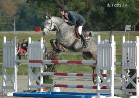 nobelia des guermantes
