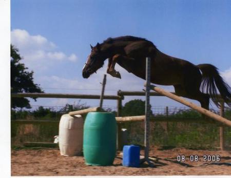 quilebo d'angrie � 2ans et demi