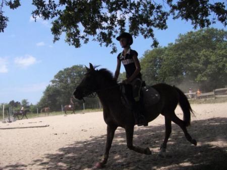 quetsh de la malouine