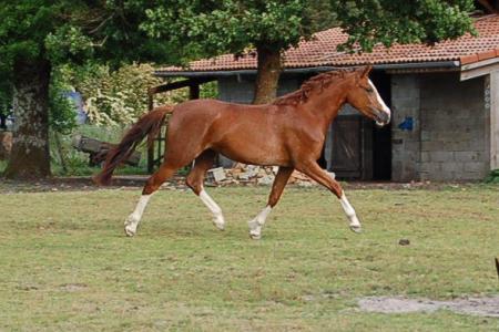 quidem de pons 3 ans