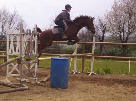 parti pris d'hurlvent